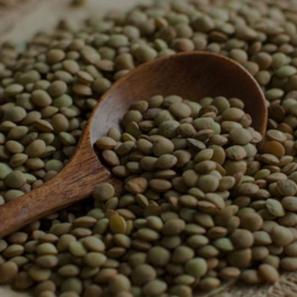 Untitled design - 2024-07-13T183740.068