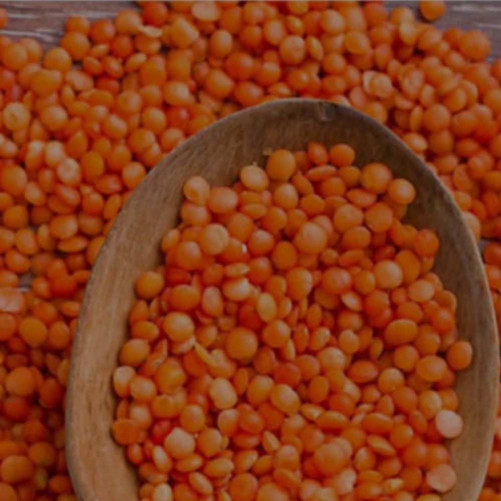 Untitled design - 2024-07-13T184957.425